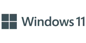 Windows 11